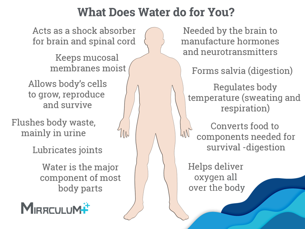 What does water do for you